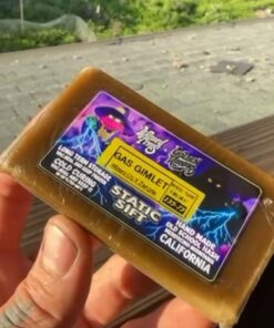 Wizard Trees x Golden Warriors