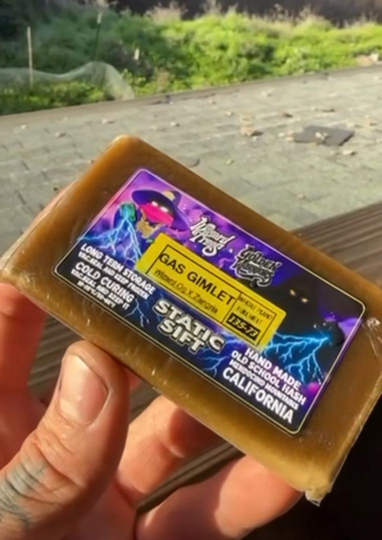 Wizard Trees x Golden Warriors Wizard Trees x Golden Warriors